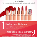 Rouge cream lipstick 3_5g_ 6 colors_ _ Style71